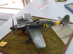 AMT 2014 - Focker Wulf TA 152